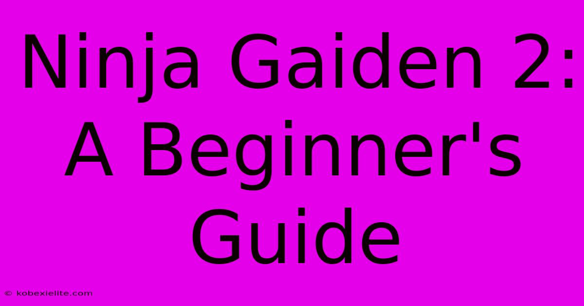 Ninja Gaiden 2: A Beginner's Guide