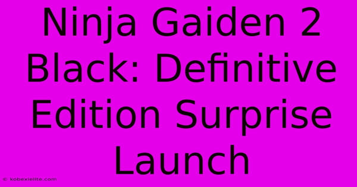 Ninja Gaiden 2 Black: Definitive Edition Surprise Launch