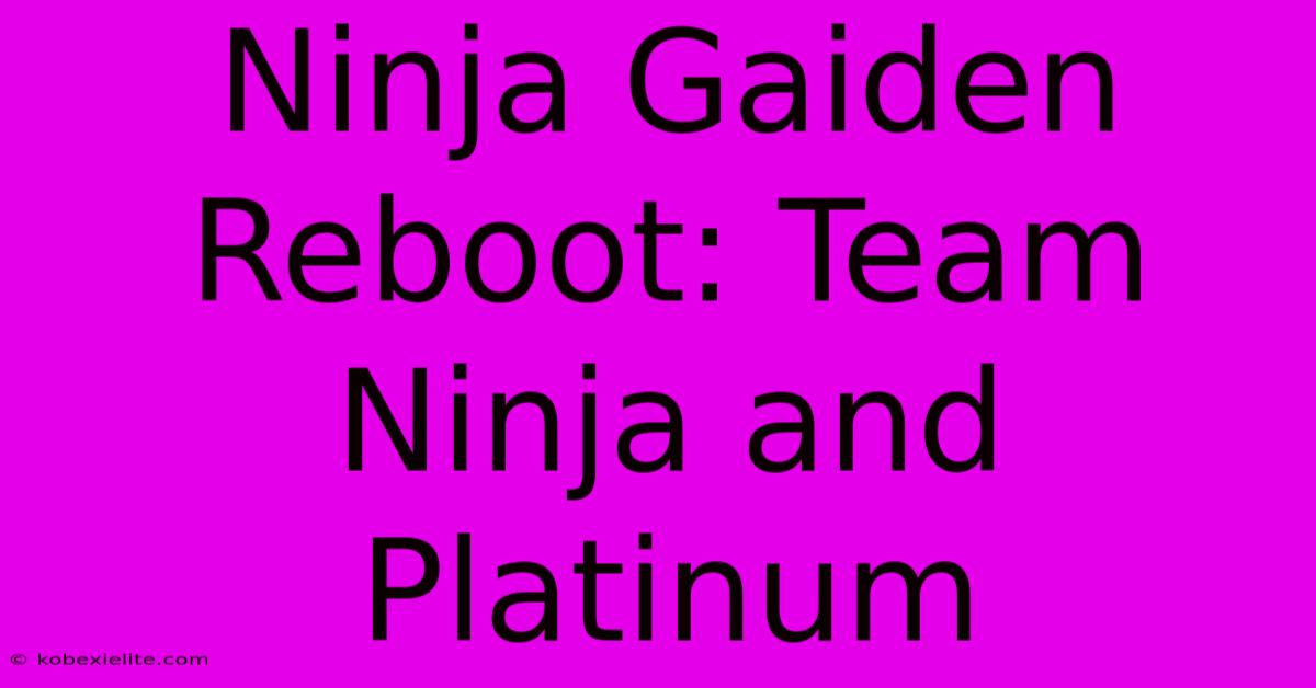 Ninja Gaiden Reboot: Team Ninja And Platinum