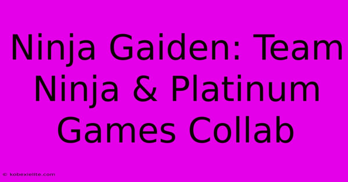 Ninja Gaiden: Team Ninja & Platinum Games Collab