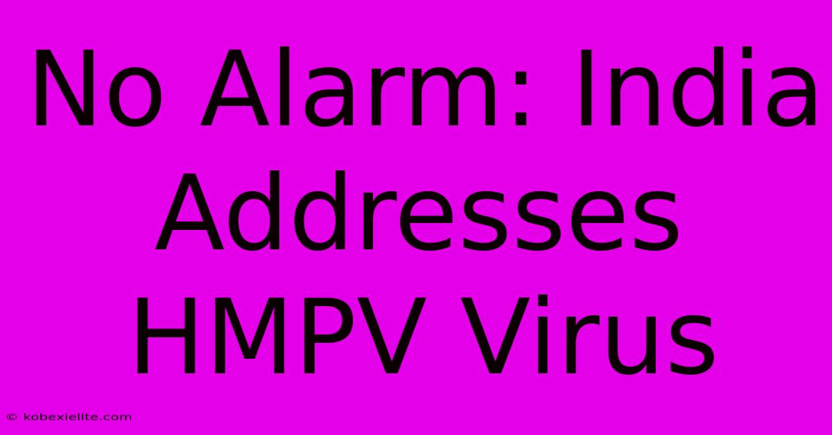 No Alarm: India Addresses HMPV Virus