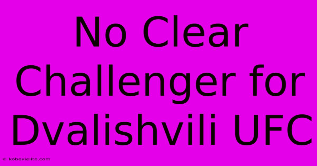 No Clear Challenger For Dvalishvili UFC