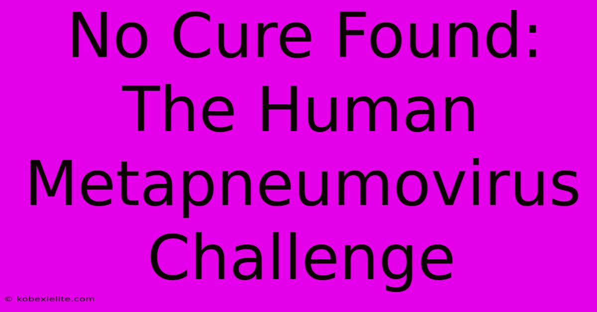 No Cure Found: The Human Metapneumovirus Challenge