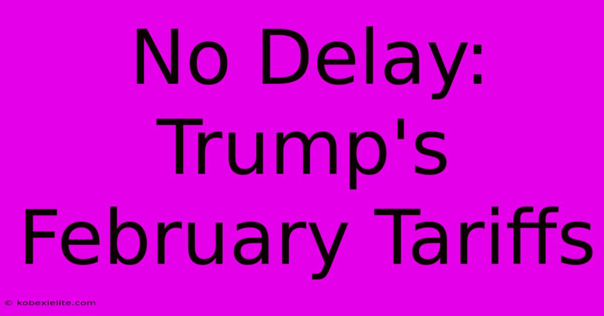 No Delay: Trump's February Tariffs