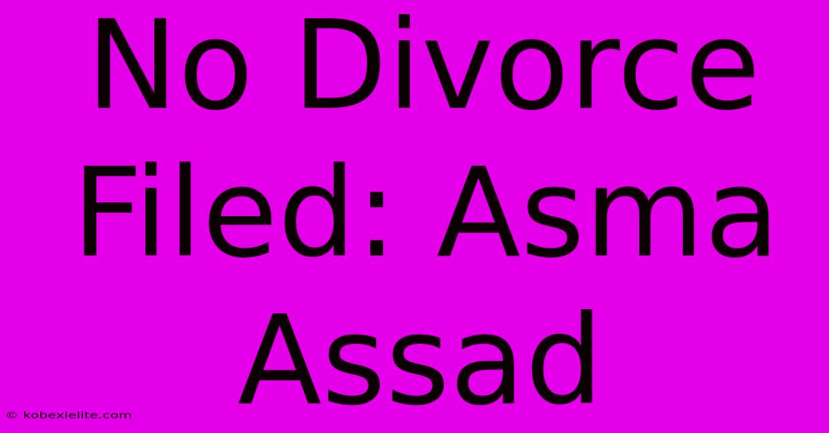 No Divorce Filed: Asma Assad