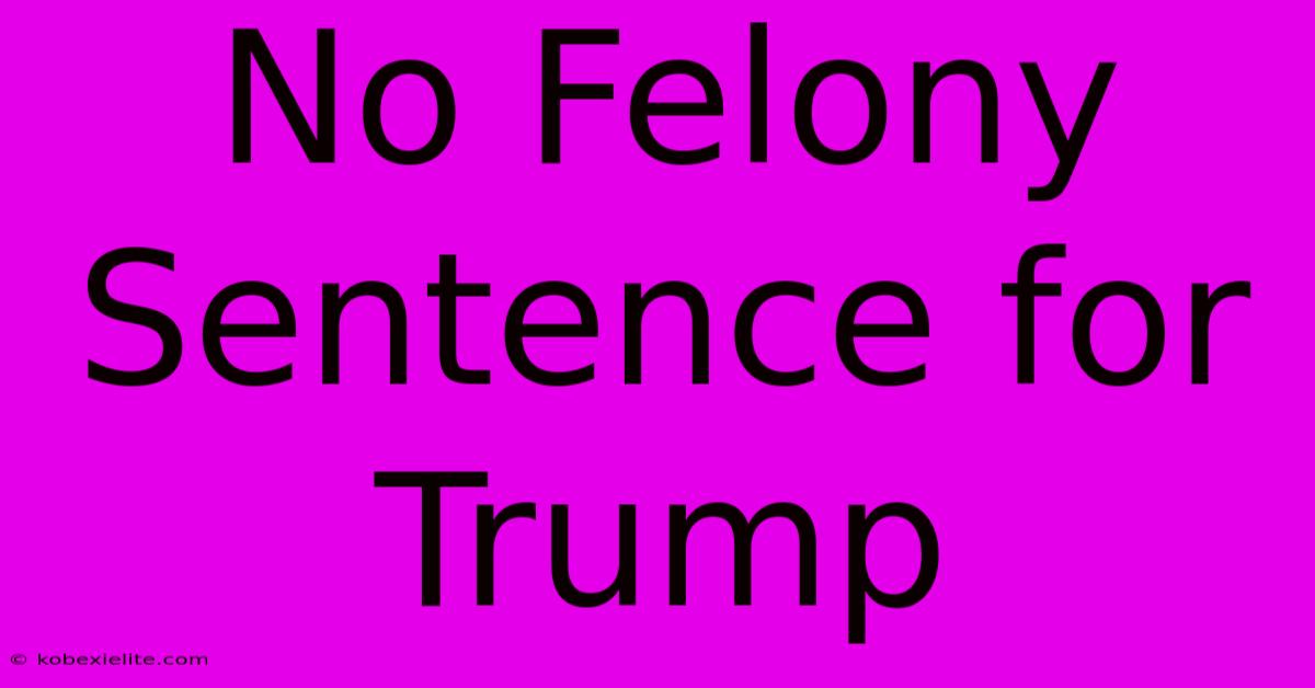 No Felony Sentence For Trump