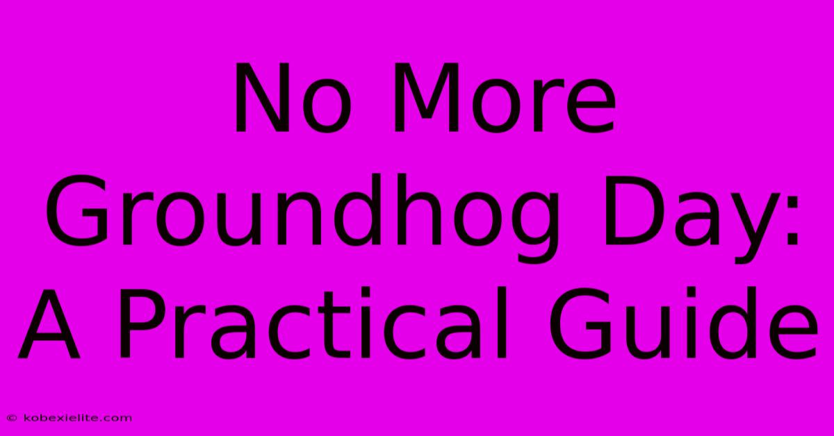 No More Groundhog Day: A Practical Guide