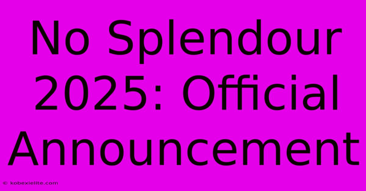 No Splendour 2025: Official Announcement