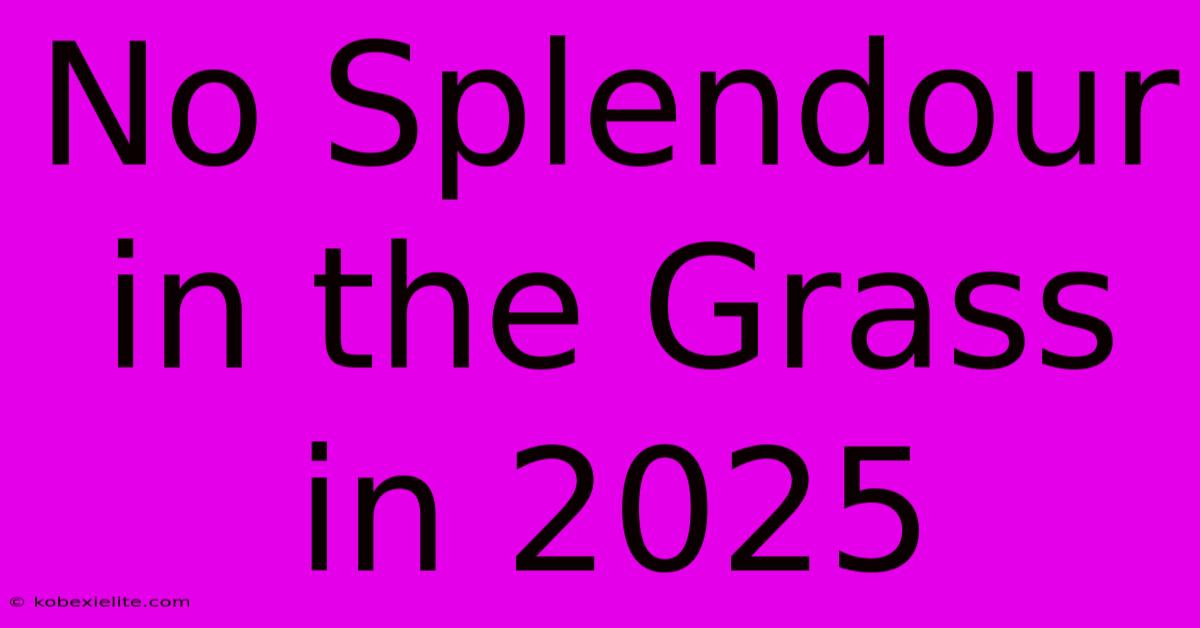 No Splendour In The Grass In 2025