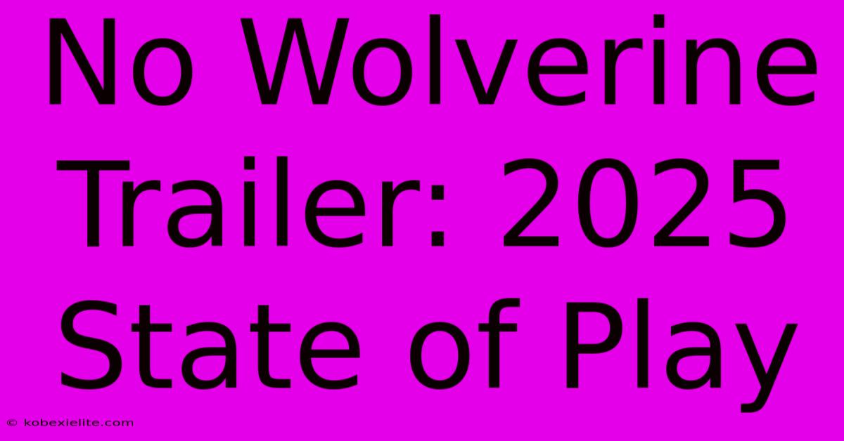 No Wolverine Trailer: 2025 State Of Play