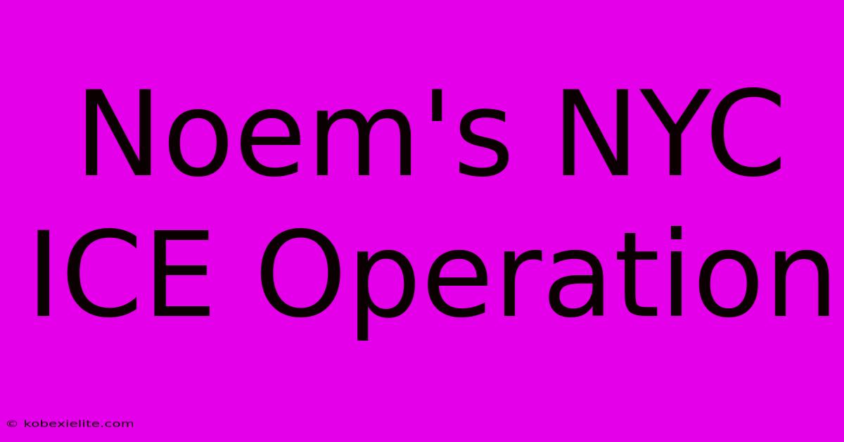 Noem's NYC ICE Operation