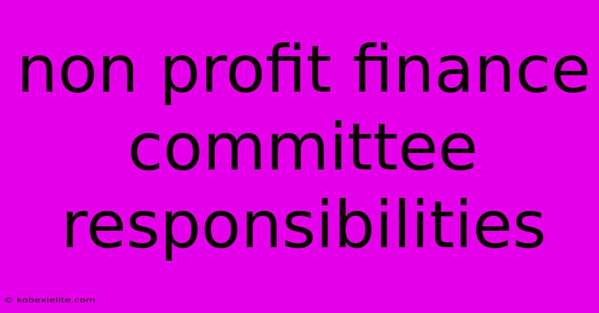 Non Profit Finance Committee Responsibilities Non Profit Finance Committee Responsibilities