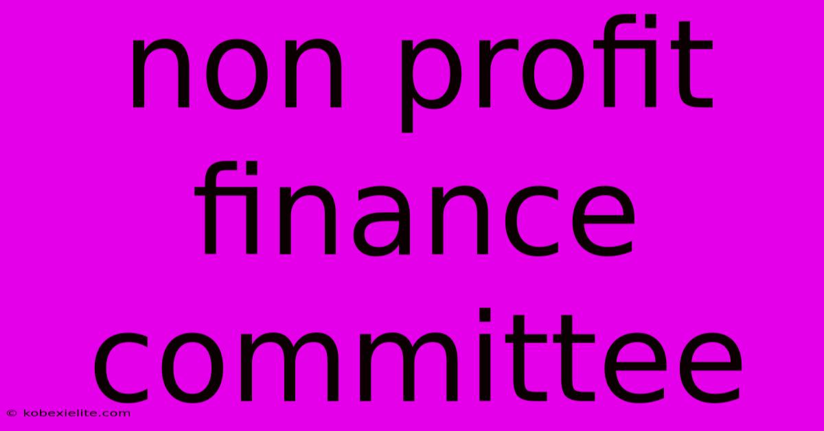 Non Profit Finance Committee Non Profit Finance Committee