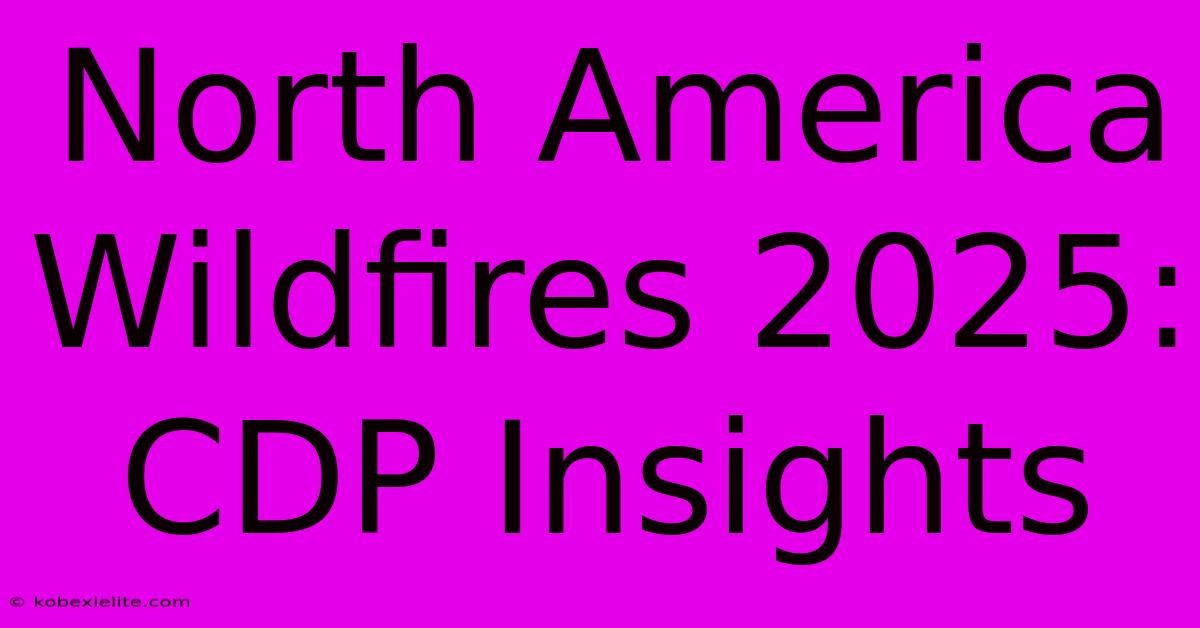 North America Wildfires 2025: CDP Insights