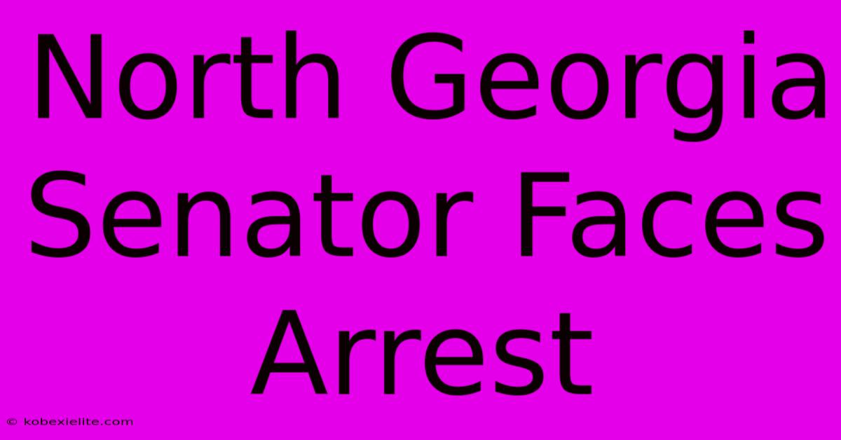 North Georgia Senator Faces Arrest