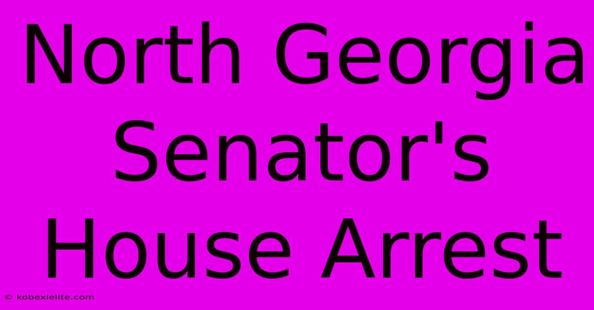 North Georgia Senator's House Arrest