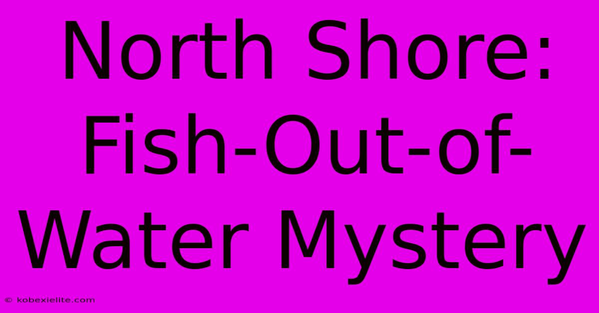 North Shore: Fish-Out-of-Water Mystery