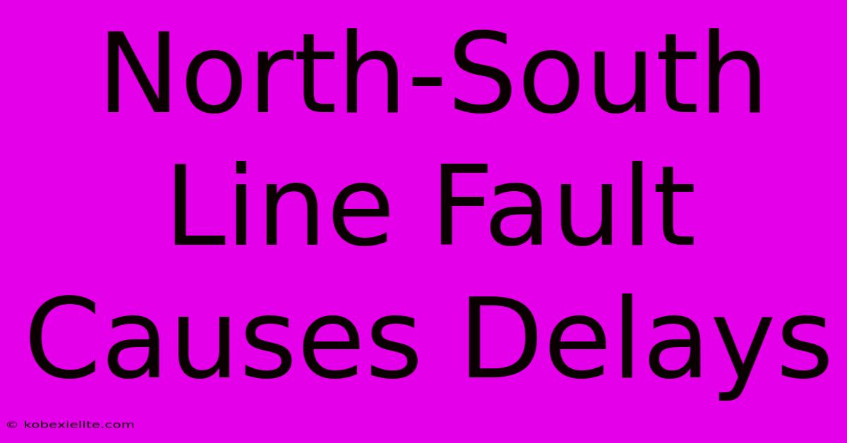 North-South Line Fault Causes Delays