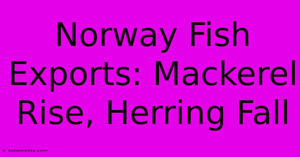 Norway Fish Exports: Mackerel Rise, Herring Fall