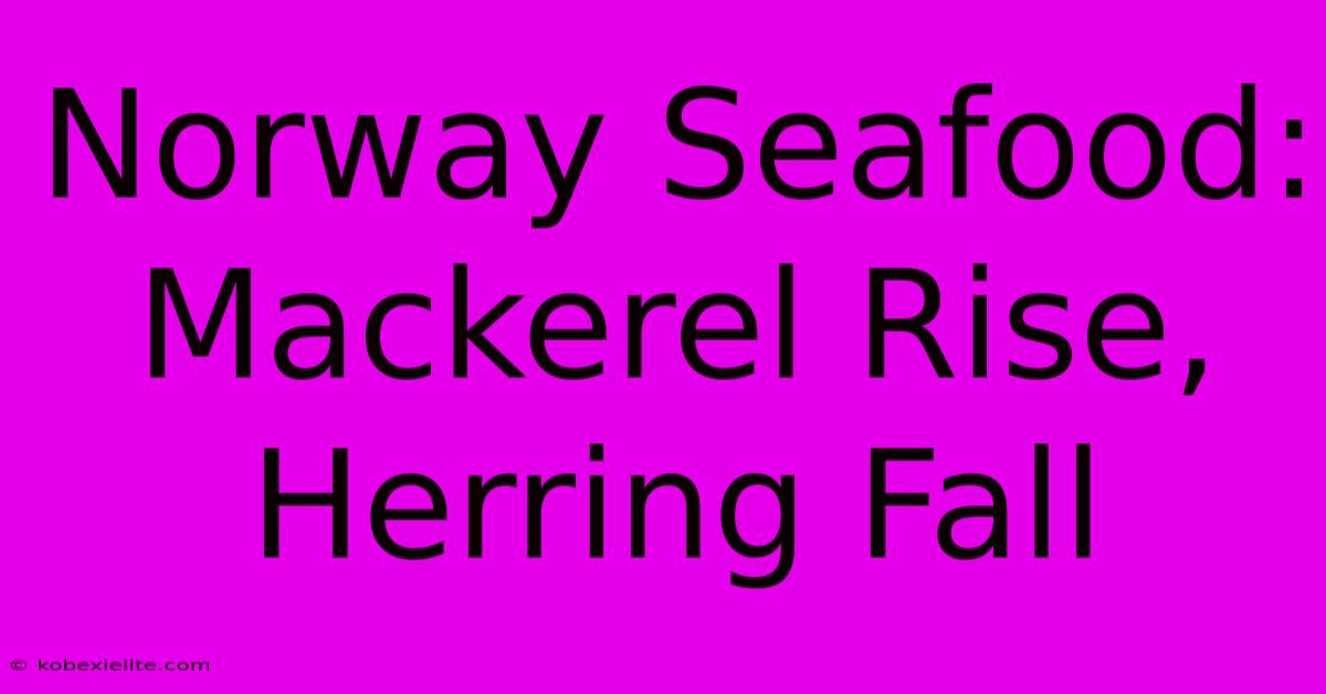 Norway Seafood: Mackerel Rise, Herring Fall