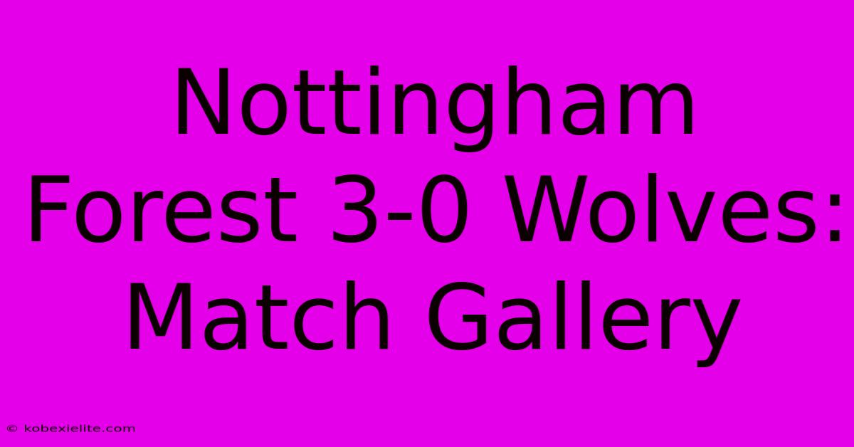 Nottingham Forest 3-0 Wolves: Match Gallery