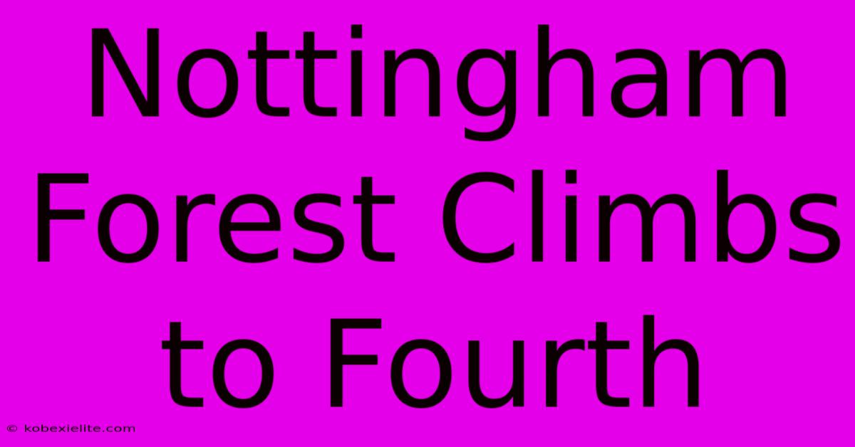 Nottingham Forest Climbs To Fourth Nottingham Forest Climbs To Fourth