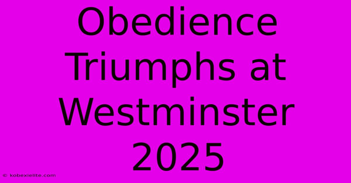 Obedience Triumphs At Westminster 2025