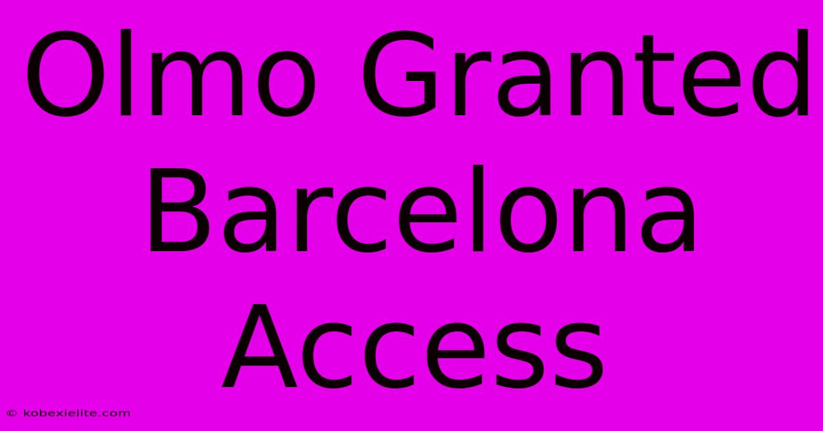 Olmo Granted Barcelona Access