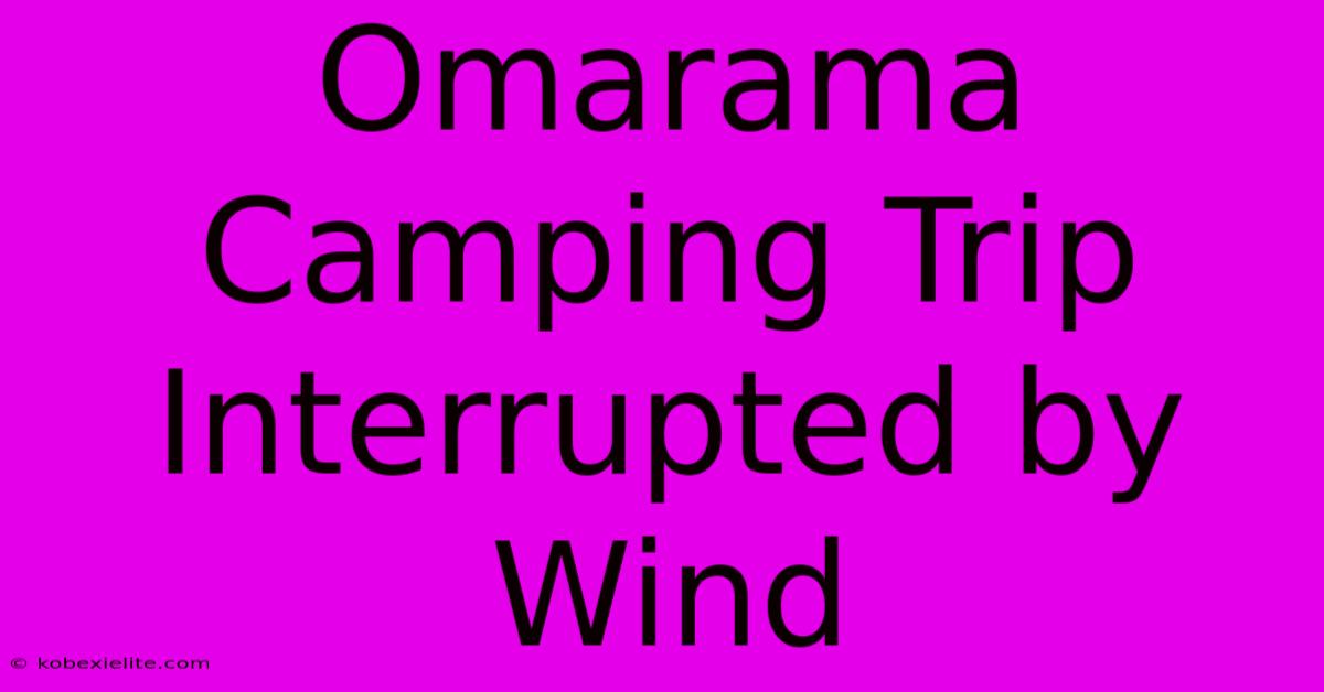 Omarama Camping Trip Interrupted By Wind