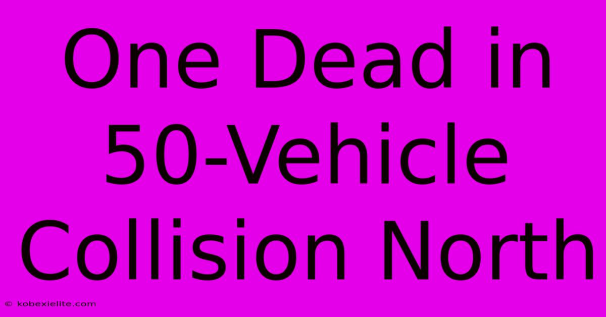 One Dead In 50-Vehicle Collision North