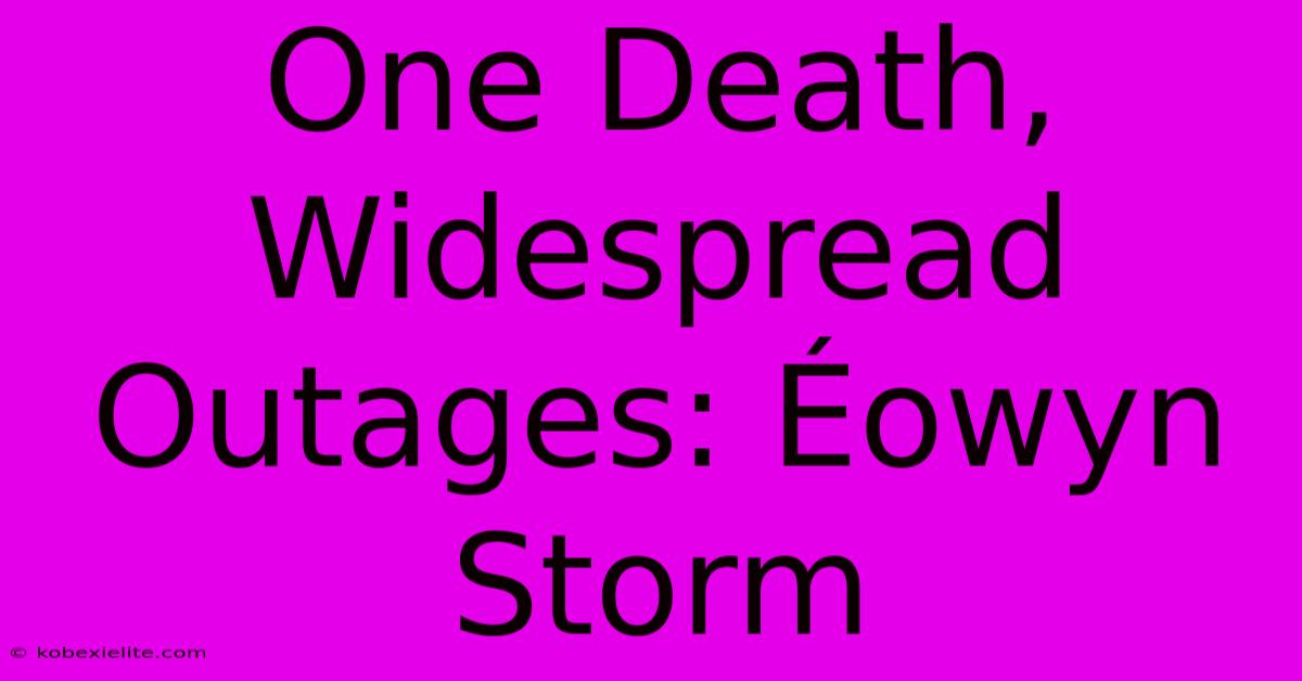 One Death, Widespread Outages: Éowyn Storm