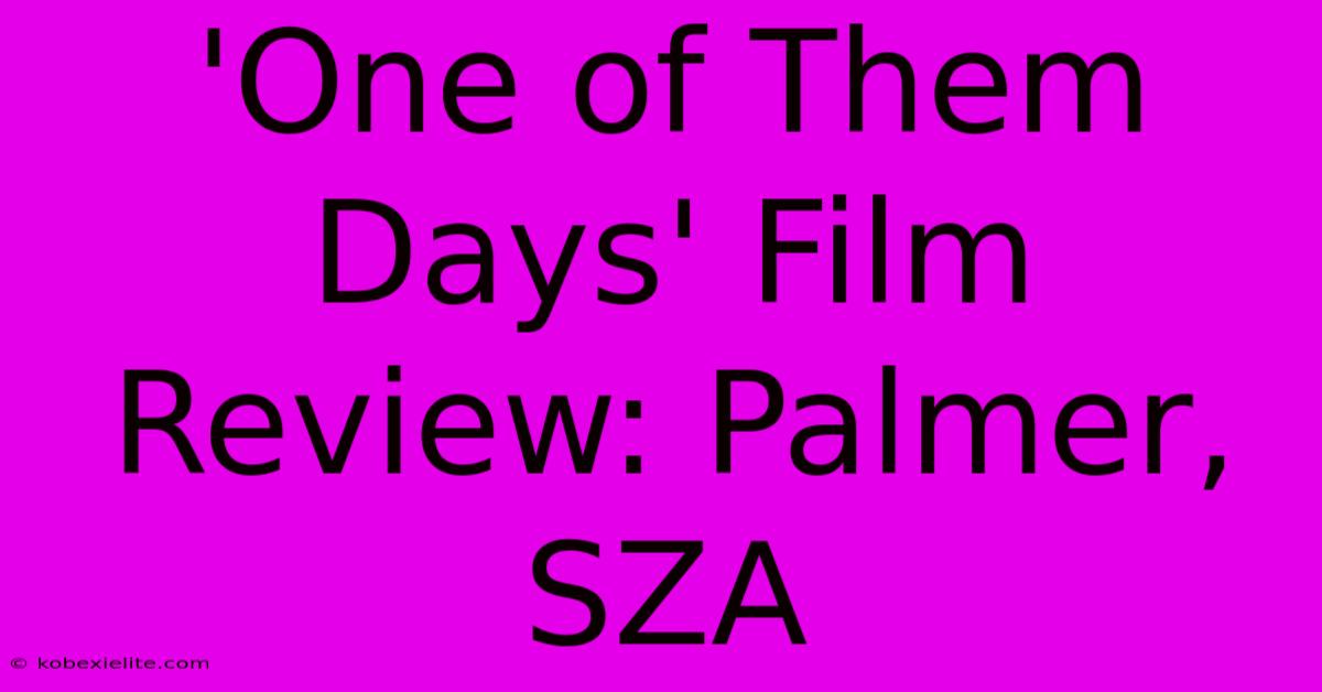 'One Of Them Days' Film Review: Palmer, SZA