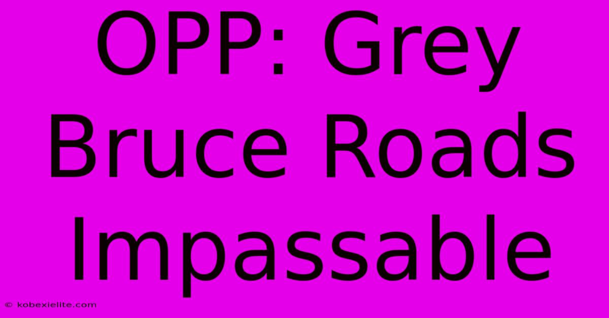 OPP: Grey Bruce Roads Impassable