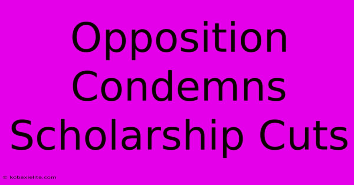 Opposition Condemns Scholarship Cuts