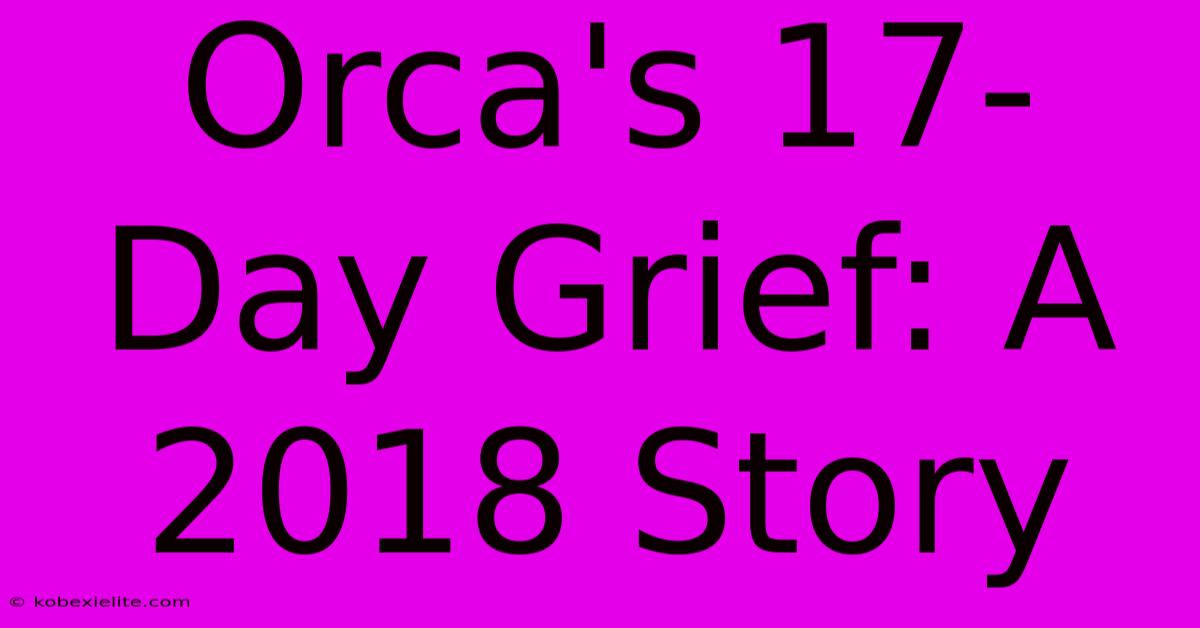 Orca's 17-Day Grief: A 2018 Story