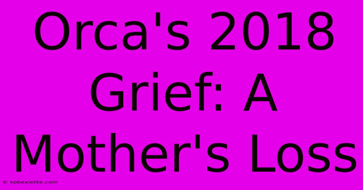 Orca's 2018 Grief: A Mother's Loss