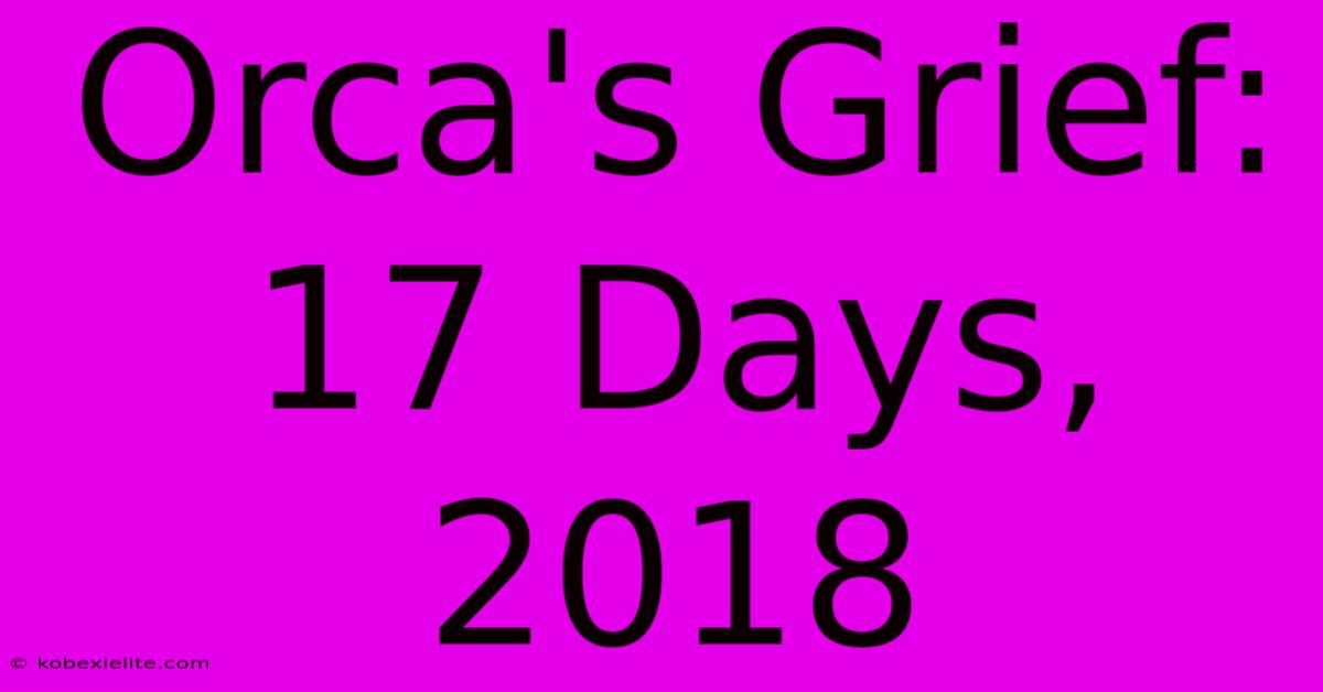 Orca's Grief: 17 Days, 2018