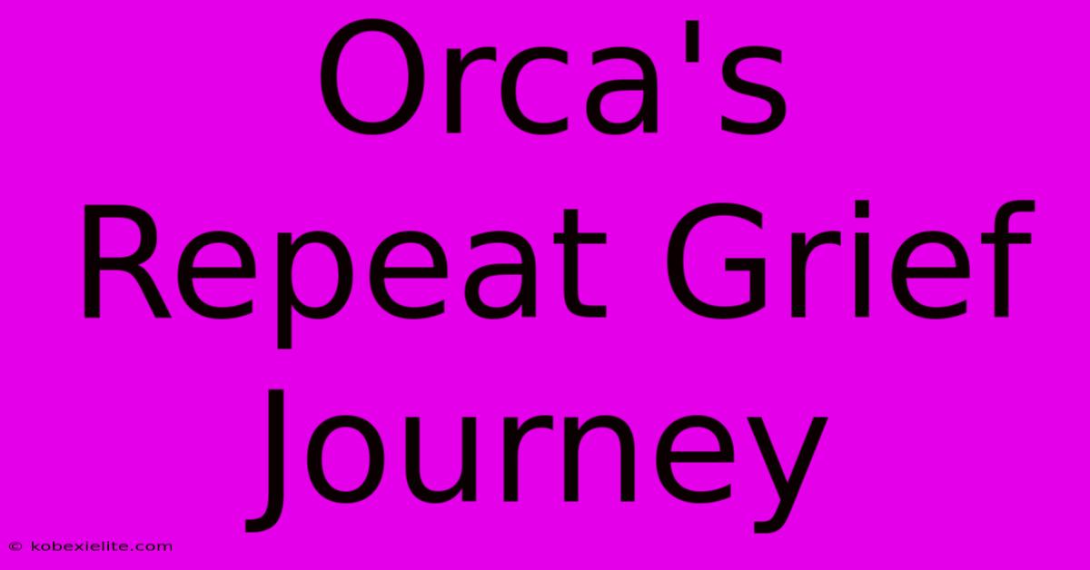 Orca's Repeat Grief Journey