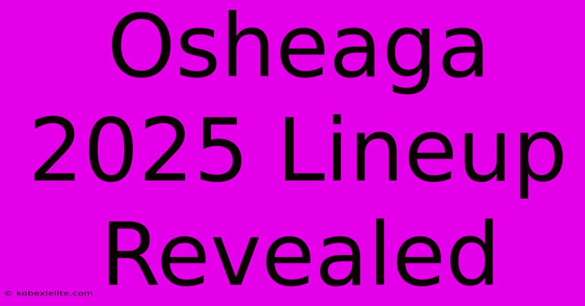 Osheaga 2025 Lineup Revealed