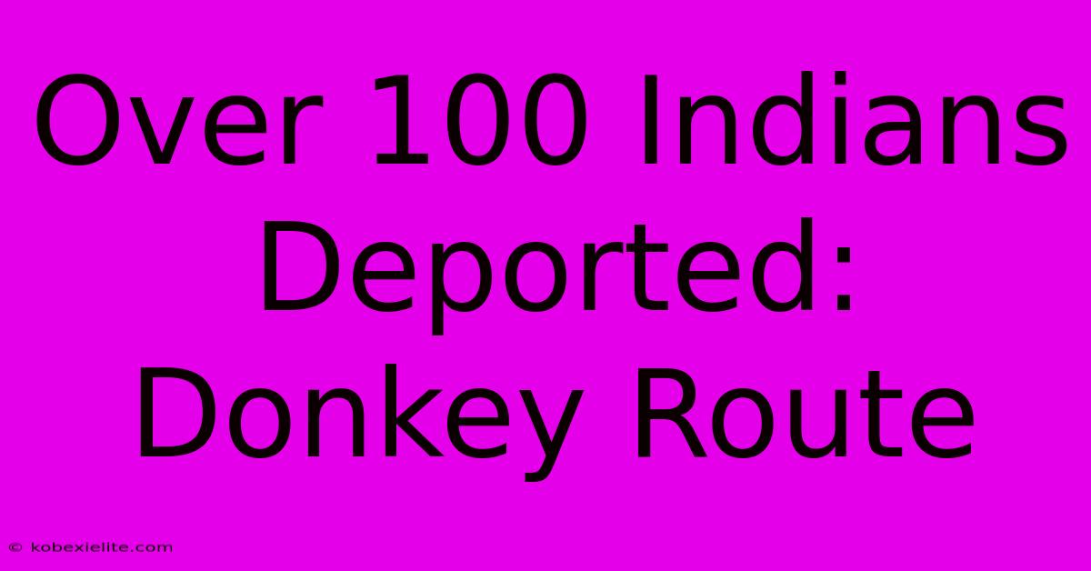 Over 100 Indians Deported: Donkey Route