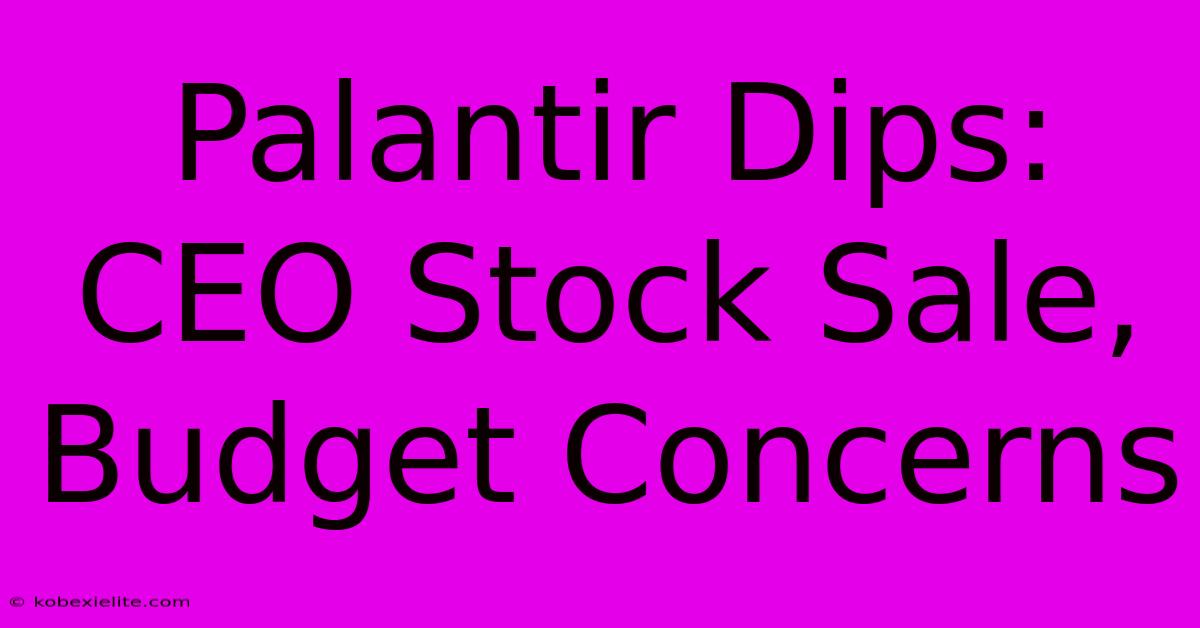 Palantir Dips: CEO Stock Sale, Budget Concerns