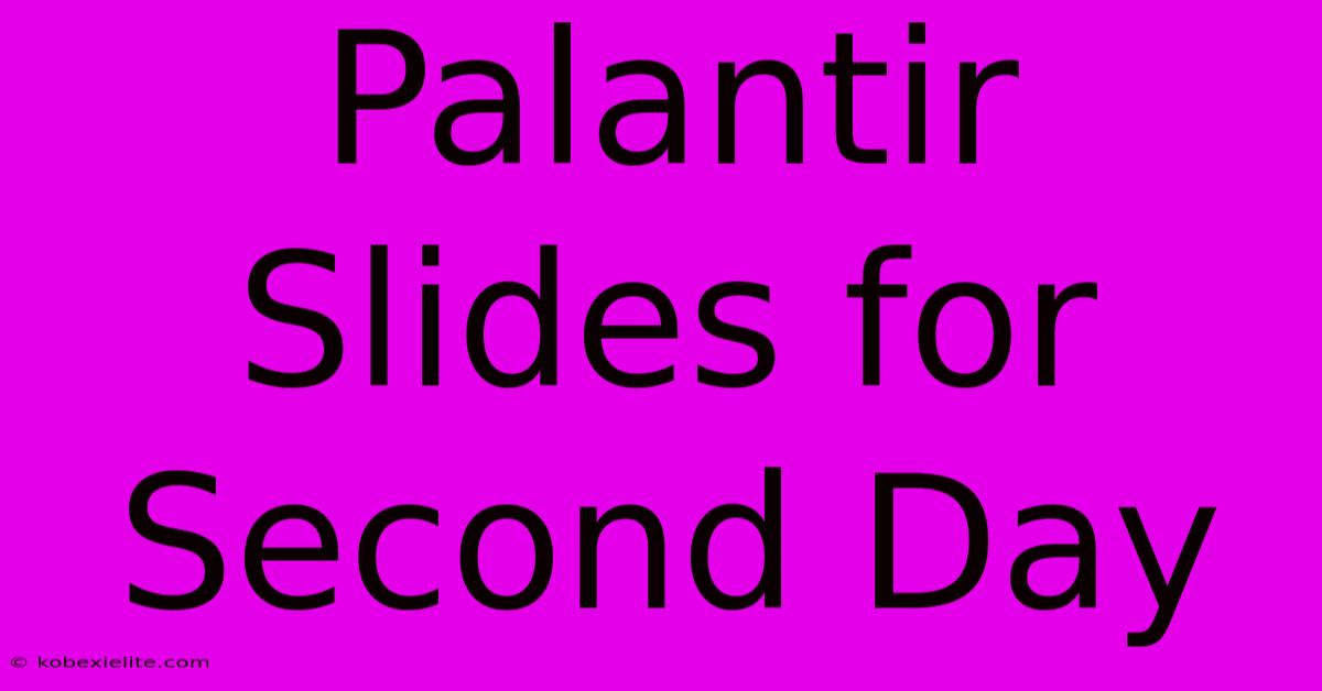 Palantir Slides For Second Day