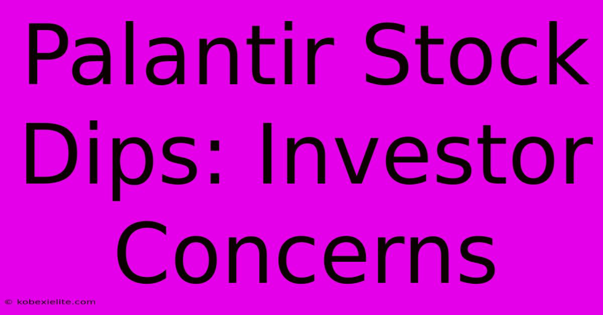 Palantir Stock Dips: Investor Concerns