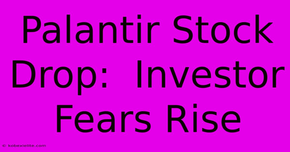 Palantir Stock Drop:  Investor Fears Rise