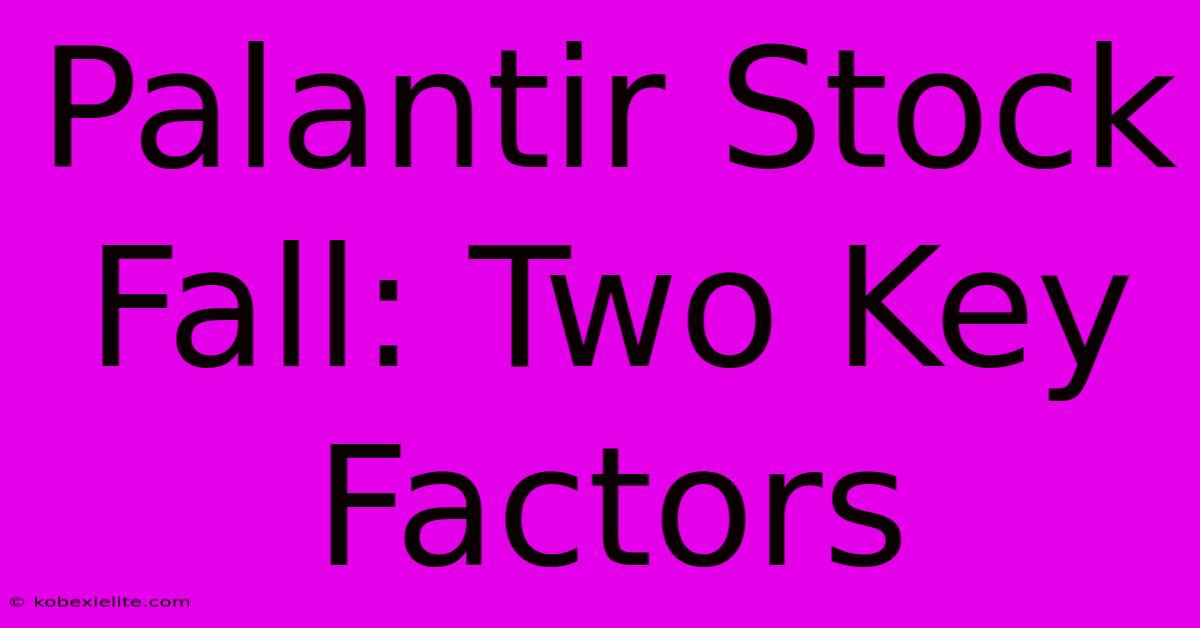 Palantir Stock Fall: Two Key Factors