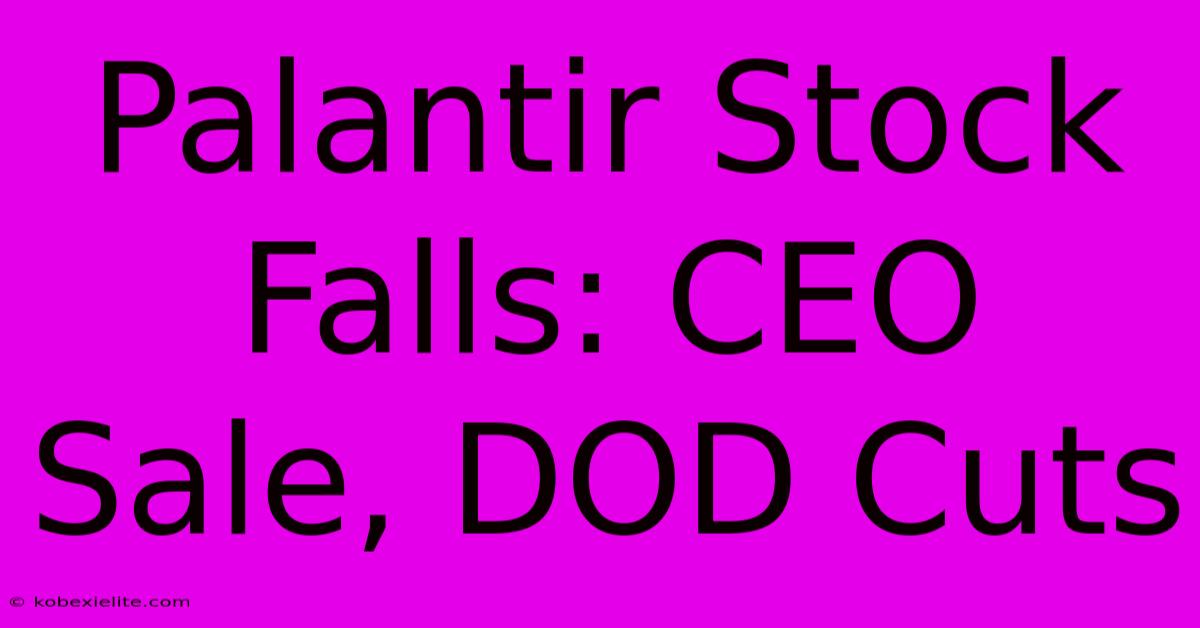 Palantir Stock Falls: CEO Sale, DOD Cuts