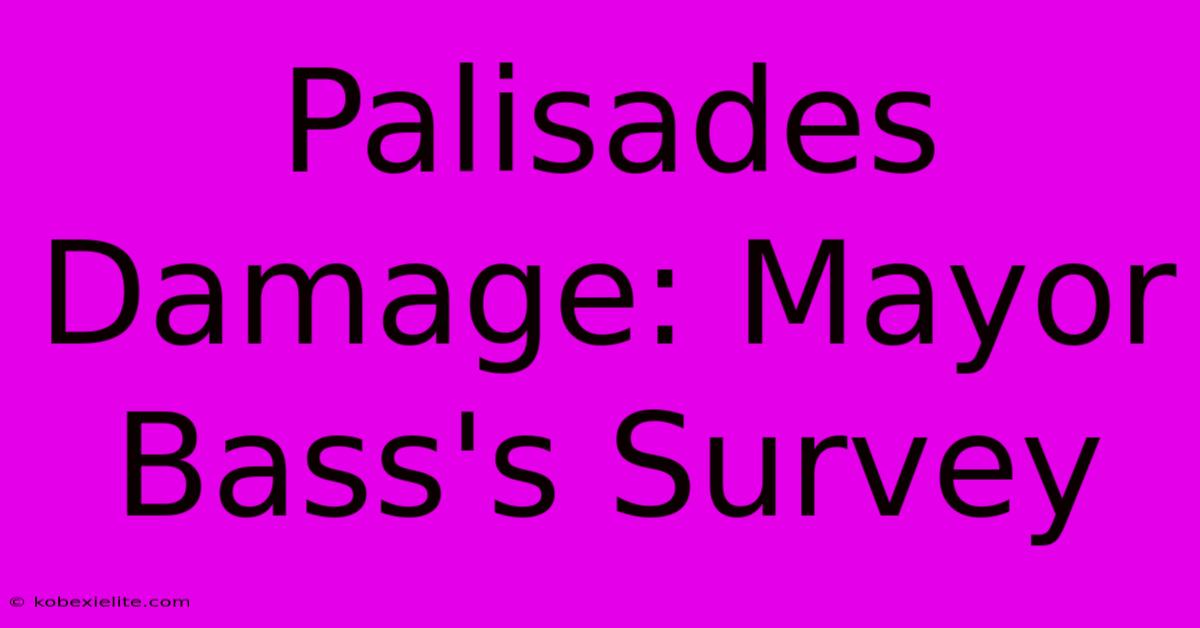 Palisades Damage: Mayor Bass's Survey