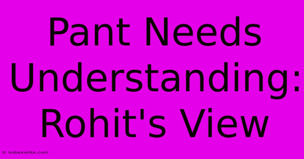 Pant Needs Understanding: Rohit's View