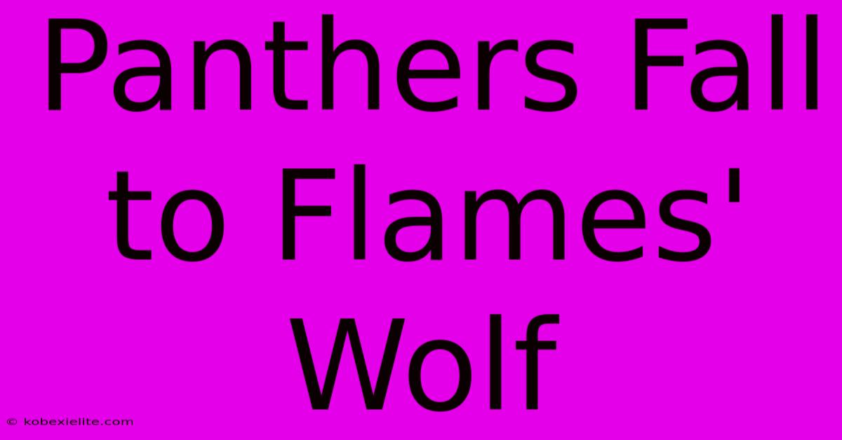 Panthers Fall To Flames' Wolf Panthers Fall To Flames' Wolf