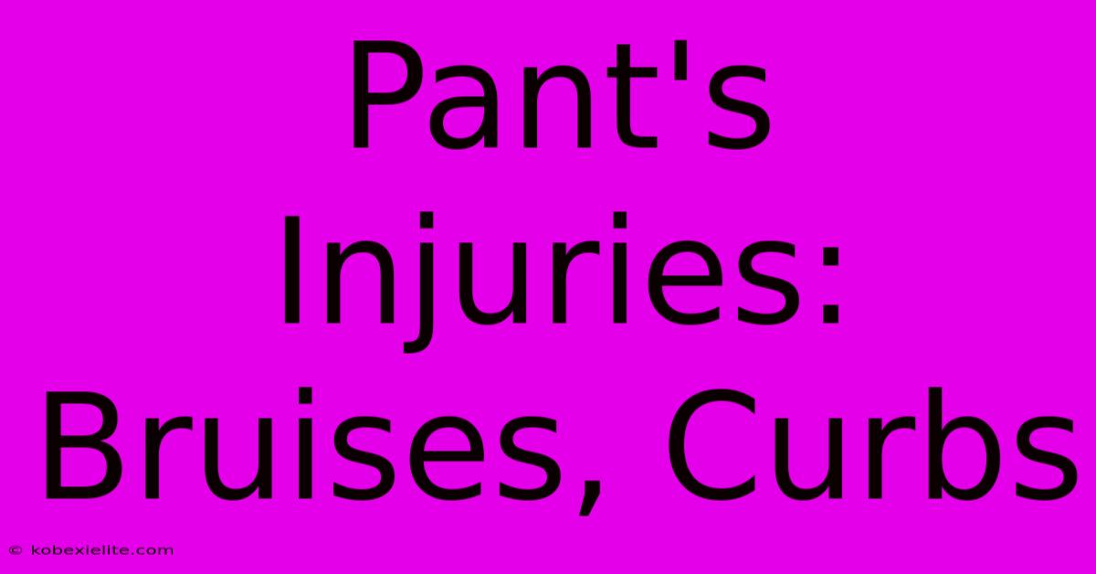 Pant's Injuries: Bruises, Curbs